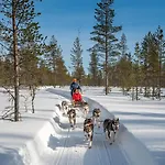 Vakantiehuis Erae, Kahden Makuuhuoneen Kelomoekki, Lukuisten Polkujen, Polkupyoeraereitin Sekae Kalaisan Tunturilammen Vieressae *