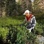 Erae 26, Kahden Makuuhuoneen Kelomoekki Syoetteellae Valaistun Ladun Vieressae * סיוטה