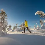 Erae, Kahden Makuuhuoneen Kelomoekki, Lukuisten Polkujen, Polkupyoeraereitin Sekae Kalaisan Tunturilammen Vieressae