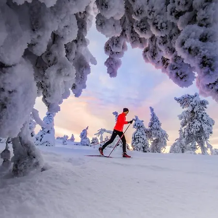 Erae 26, Kahden Makuuhuoneen Kelomoekki Syoetteellae Valaistun Ladun Vieressae 度假居 索特