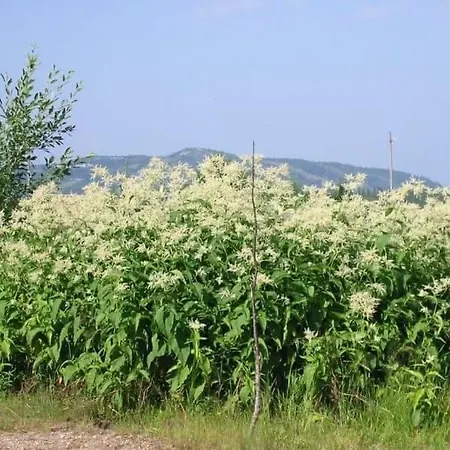 Erae 26, Kahden Makuuhuoneen Kelomoekki Syoetteellae Valaistun Ladun Vieressae 度假居