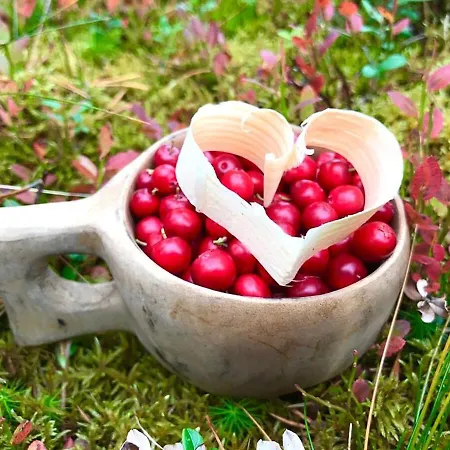 Erae 26, Kahden Makuuhuoneen Kelomoekki Syoetteellae Valaistun Ladun Vieressae 索特