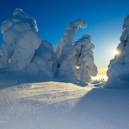 Erae 26, Kahden Makuuhuoneen Kelomoekki Syoetteellae Valaistun Ladun Vieressae *