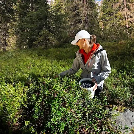 Erae, Kahden Makuuhuoneen Kelomoekki, Lukuisten Polkujen, Polkupyoeraereitin Sekae Kalaisan Tunturilammen Vieressae * Syöte