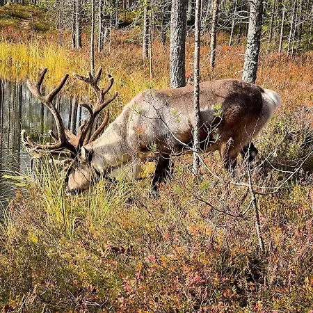 Erae 26, Kahden Makuuhuoneen Kelomoekki Syoetteellae Valaistun Ladun Vieressae